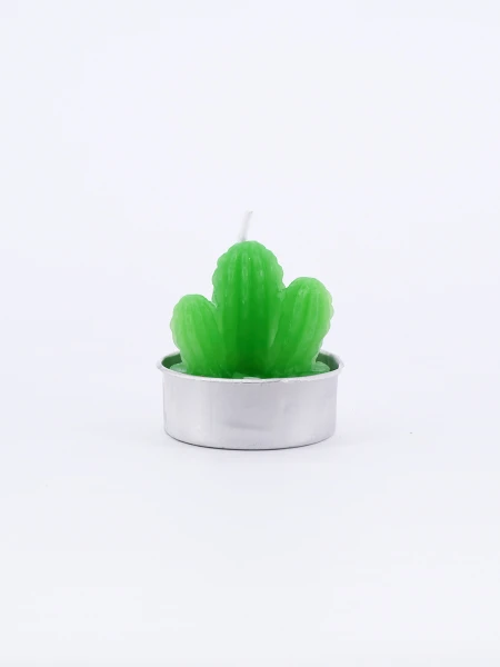 SUCULENTA VELA VARIOS CACTUS VERDE