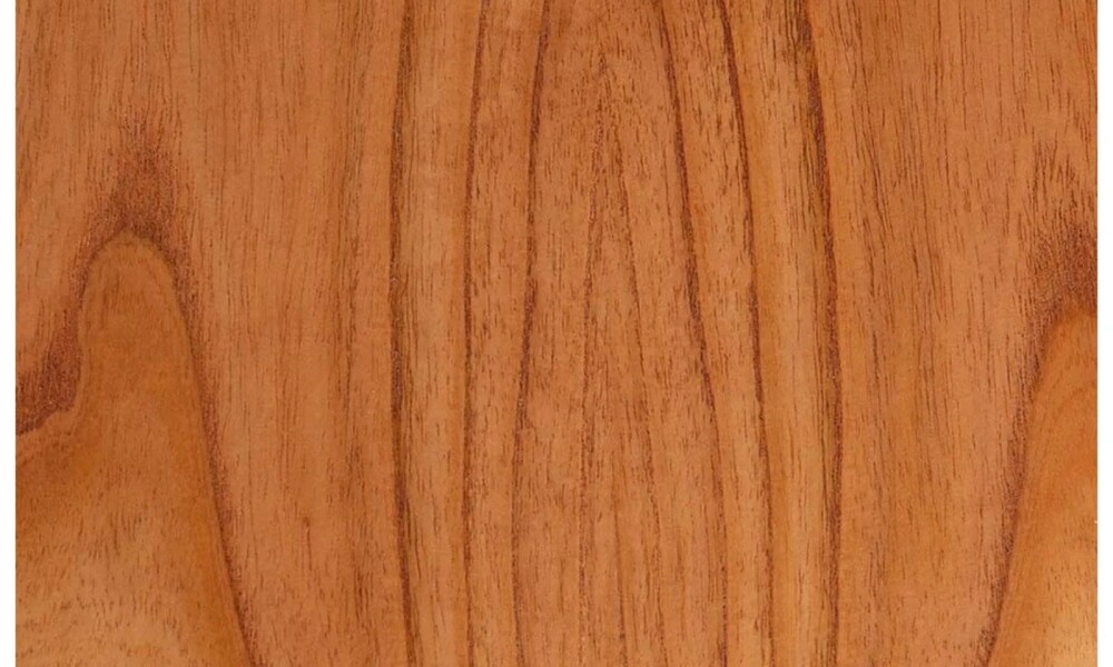 Mesa DAYNA Lateral Mesa DAYNA Lateral