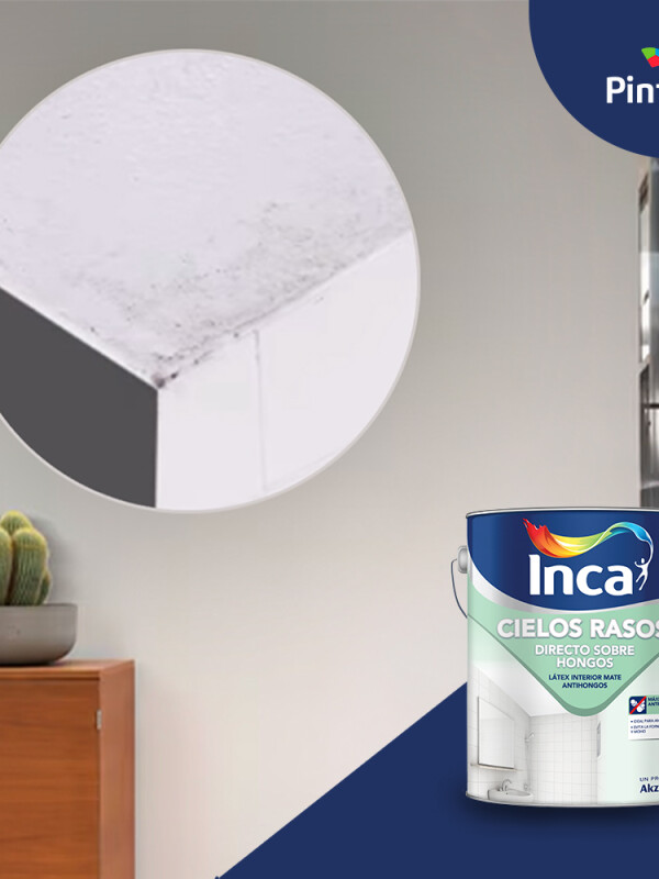 INCA CIELOS RASOS DIRECTO SOBRE HONGOS - 20 LTS N/A
