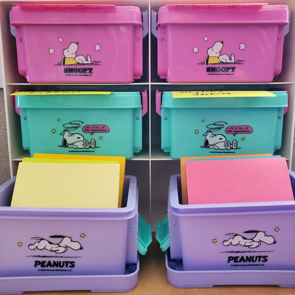 Organizador Snoopy Organizador Snoopy