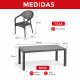 Juego de jardín 6 sillas con apoya brazo + mesa GRIS
