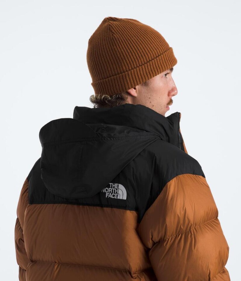 Campera de Pluma 1996 Nuptse hombre Burnt Umber/tnf Black