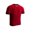 Camiseta España Niños RD2