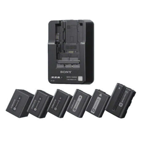 Cargador de Baterías SONY Series W/V/M/H/P - BC-QM1 BLACK