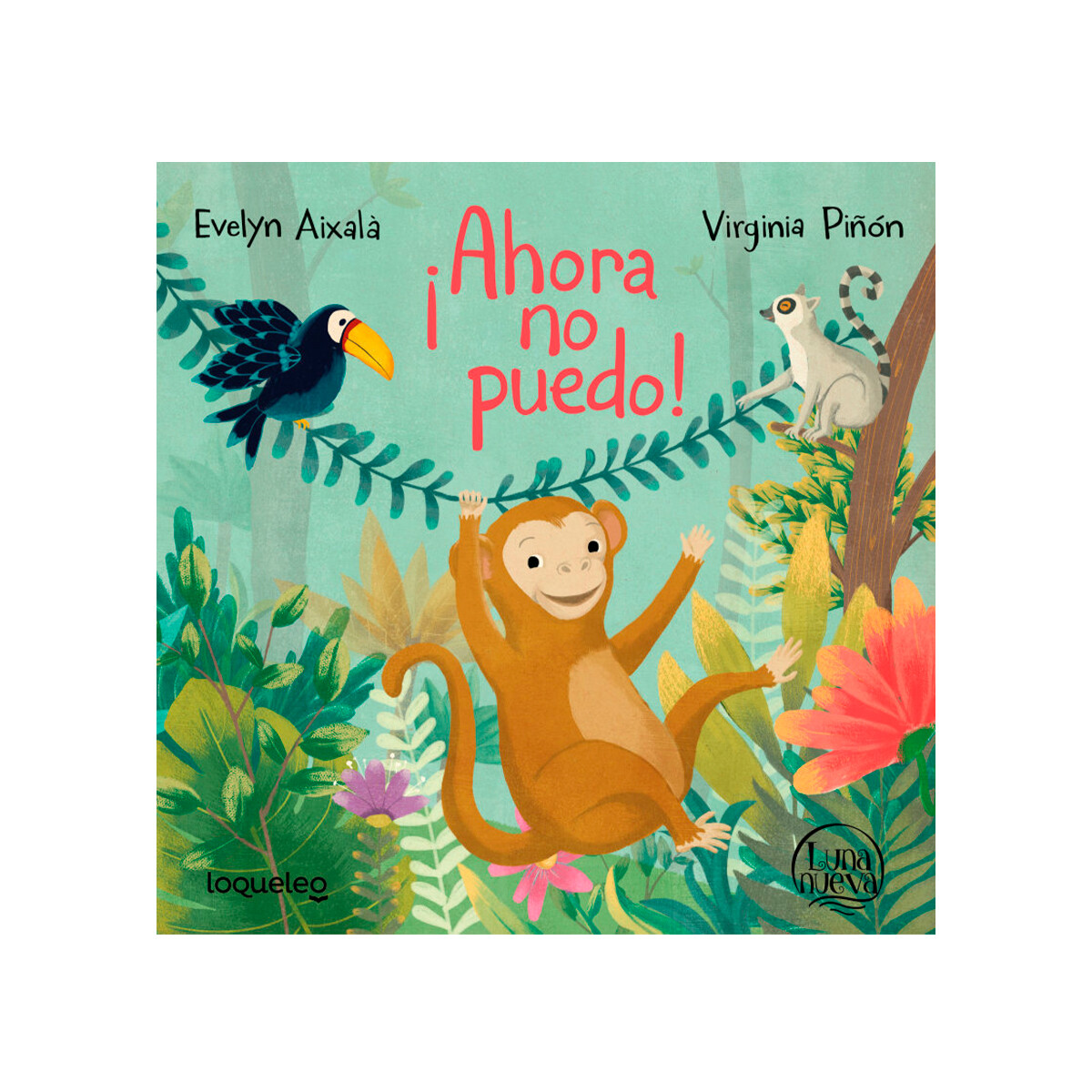 Libro Infantil Ahora No Puedo Evelyn Aixalá 