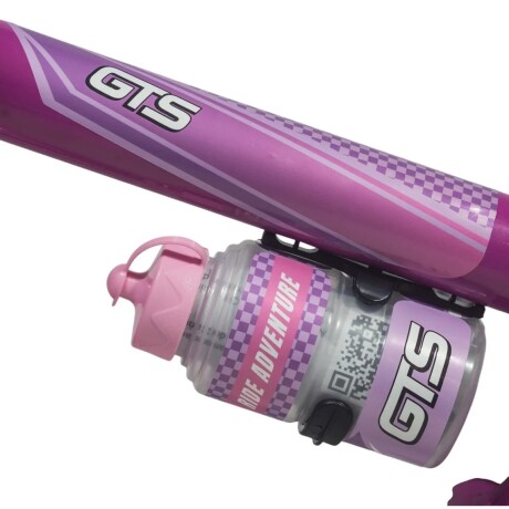 Bicicleta De Paseo Gts ARO12-GTS Rodado 12 Con Botella Ub ROSADO