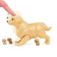 Barbie Cachorritos Recién Nacidos Perritos Barbie Cachorritos Recién Nacidos Perritos