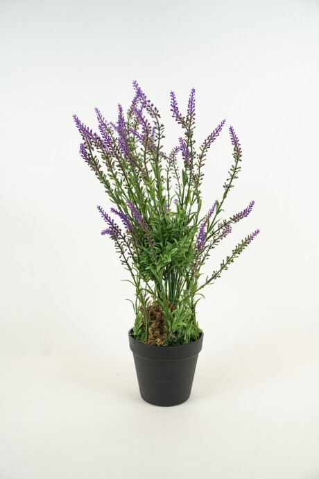 Planta Lavender 48cm Color Unico