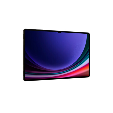Tablet Samsung Tab S9 Ultra Wifi 256GB Gris Grafito