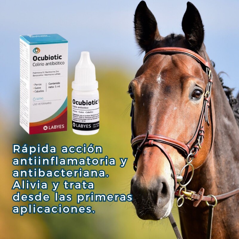 OCUBIOTIC COLIRIO ANTIBIÓTICO SIN ESTEROIDES 5 ML OCUBIOTIC COLIRIO ANTIBIÓTICO SIN ESTEROIDES 5 ML