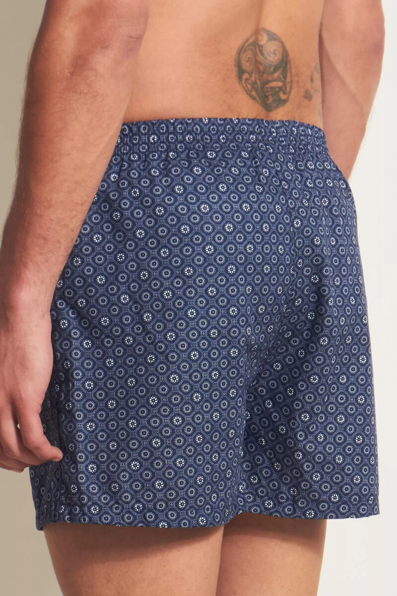 Bóxer Kevingston DAF