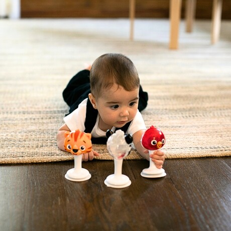 Set de Sonajeros con Ventosa Baby Einstein Set de Sonajeros con Ventosa Baby Einstein