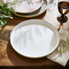PORTMEIRION MINERALS PLATO PLAYO 27CM MOONSTONE SET X 4 PORTMEIRION MINERALS PLATO PLAYO 27CM MOONSTONE SET X 4
