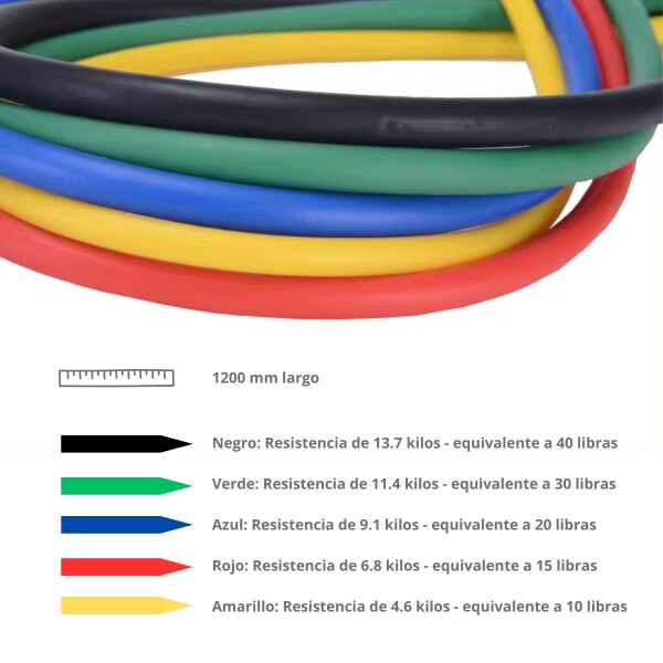 Set Bandas De Resistencia Elasticas Gym Entrenamiento Profesional Reforzadas Manijas Acero Con Bolso Imback Set Bandas De Resistencia Elasticas Gym Entrenamiento Profesional Reforzadas Manijas Acero Con Bolso Imback