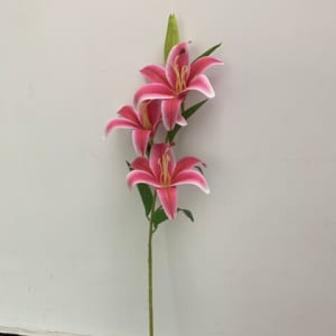 Rama de Flores Rama de Flores