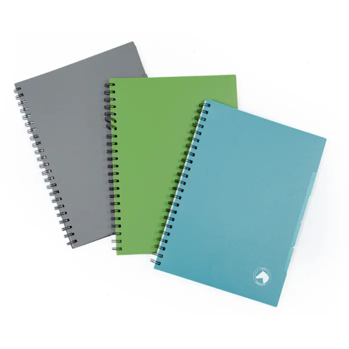 CUADERNOLA CABALLITO 80 HOJAS 