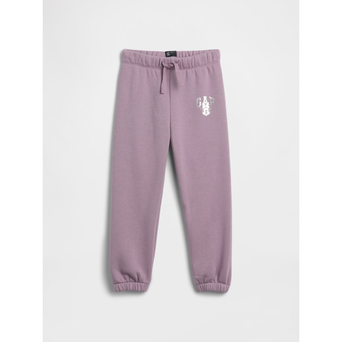 V-DISLOGO JGR - SP DIS FAM AMETHYST2 