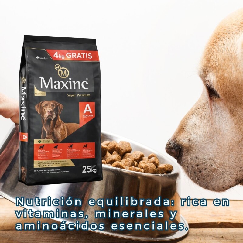 MAXINE PERROS ADULTOS TODAS LAS RAZAS - 21 + 4 KG MAXINE PERROS ADULTOS TODAS LAS RAZAS - 21 + 4 KG
