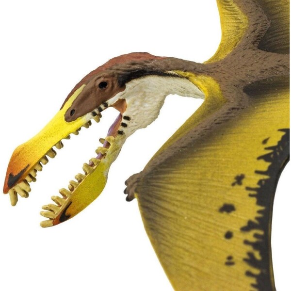 Pterosaur Dinosaurio Safari Realista Colección Muñeco Pterosaur Dinosaurio Safari Realista Colección Muñeco