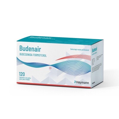 Budenair Inhalador 120 Caps. Polvo Seco Budenair Inhalador 120 Caps. Polvo Seco