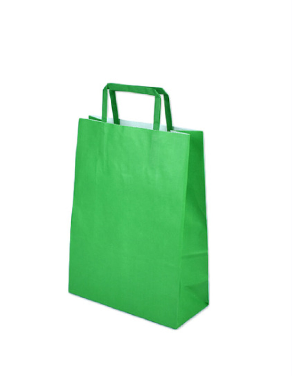 Bolsa lisa acuario 22x10x30 cm - VERDE 
