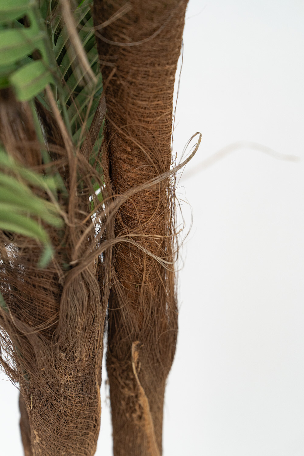 Planta Palmera 120cm Color Unico