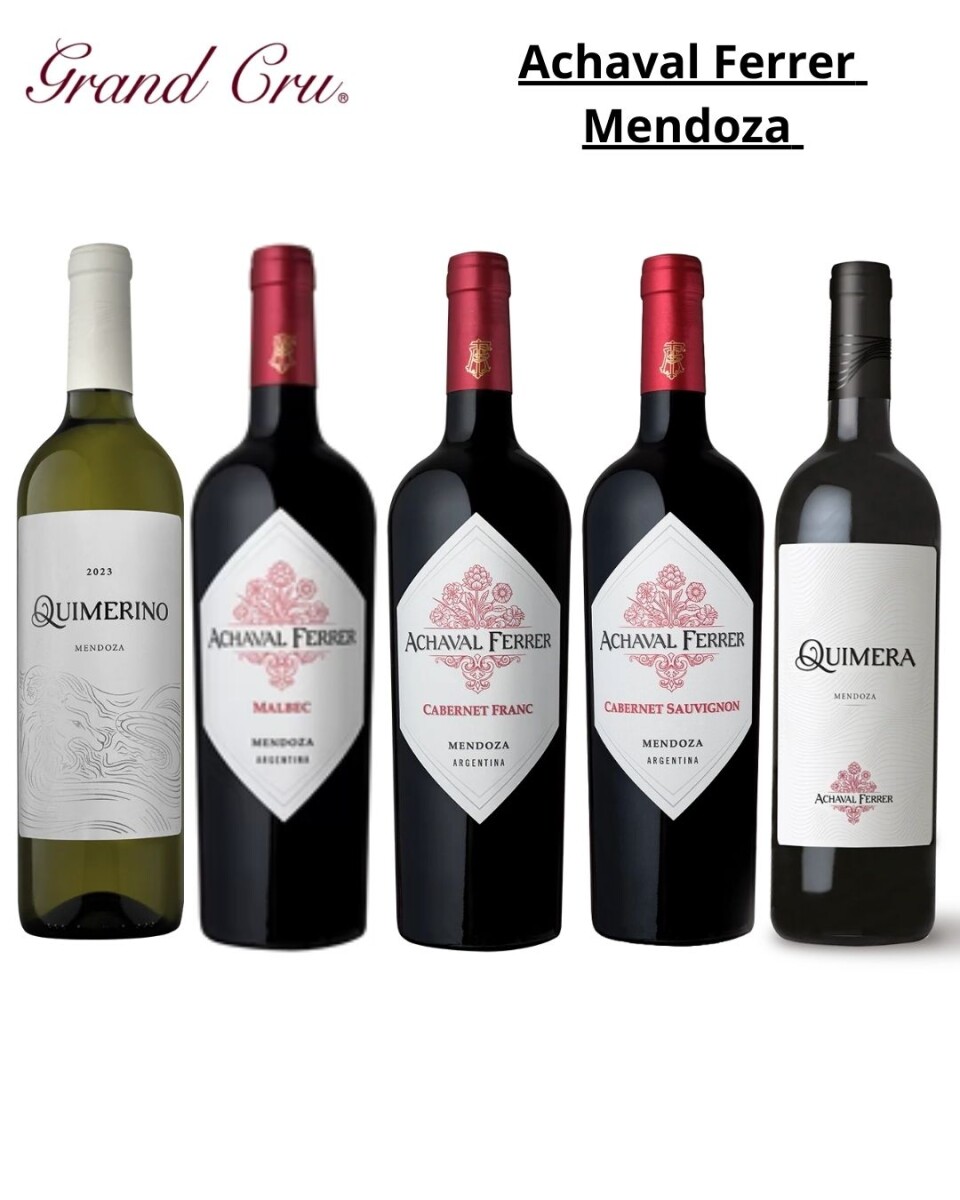 Box Achaval Ferrer Mendoza 