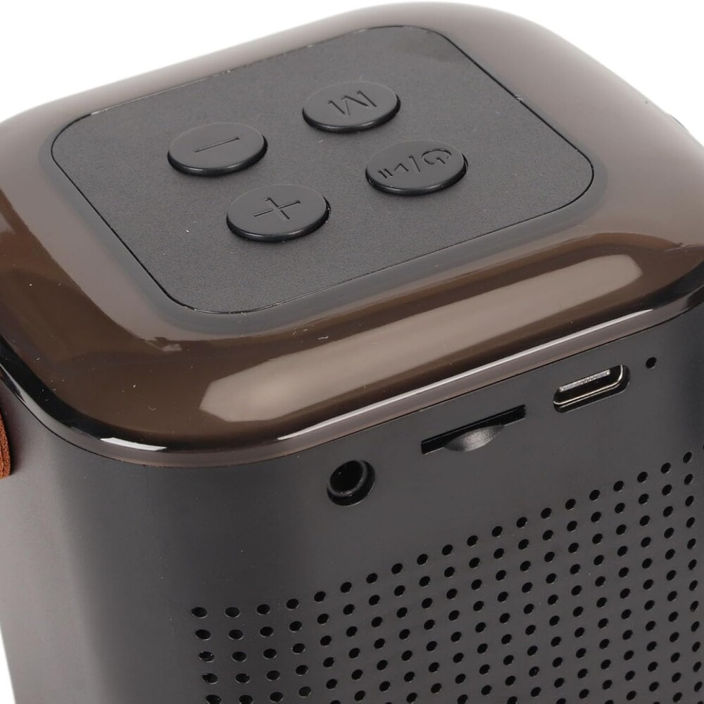 Mini Parlante Inalambrico Con 2 Microfonos Negro