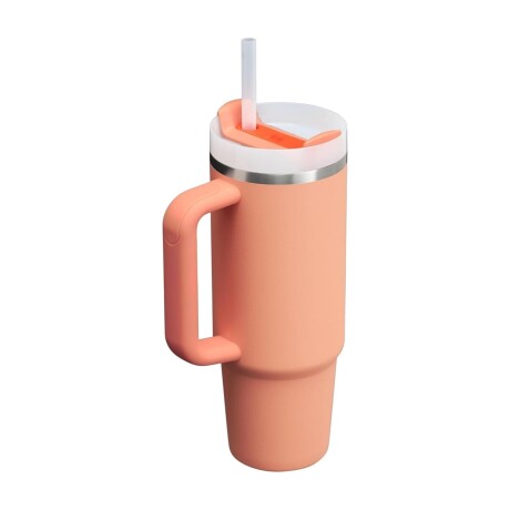 JARRA STANLEY TERMICA THE FLOWSTATE QUENCHER 30 OZ NARANJA JARRA STANLEY TERMICA THE FLOWSTATE QUENCHER 30 OZ NARANJA
