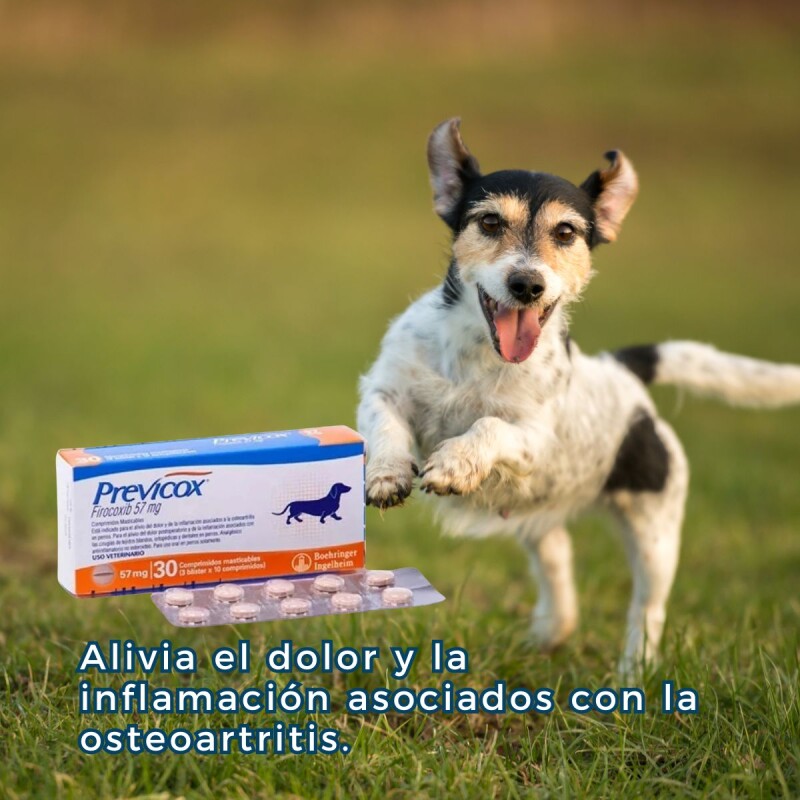 PREVICOX 57 MG X CAJA DE 30 COMPRIMIDOS