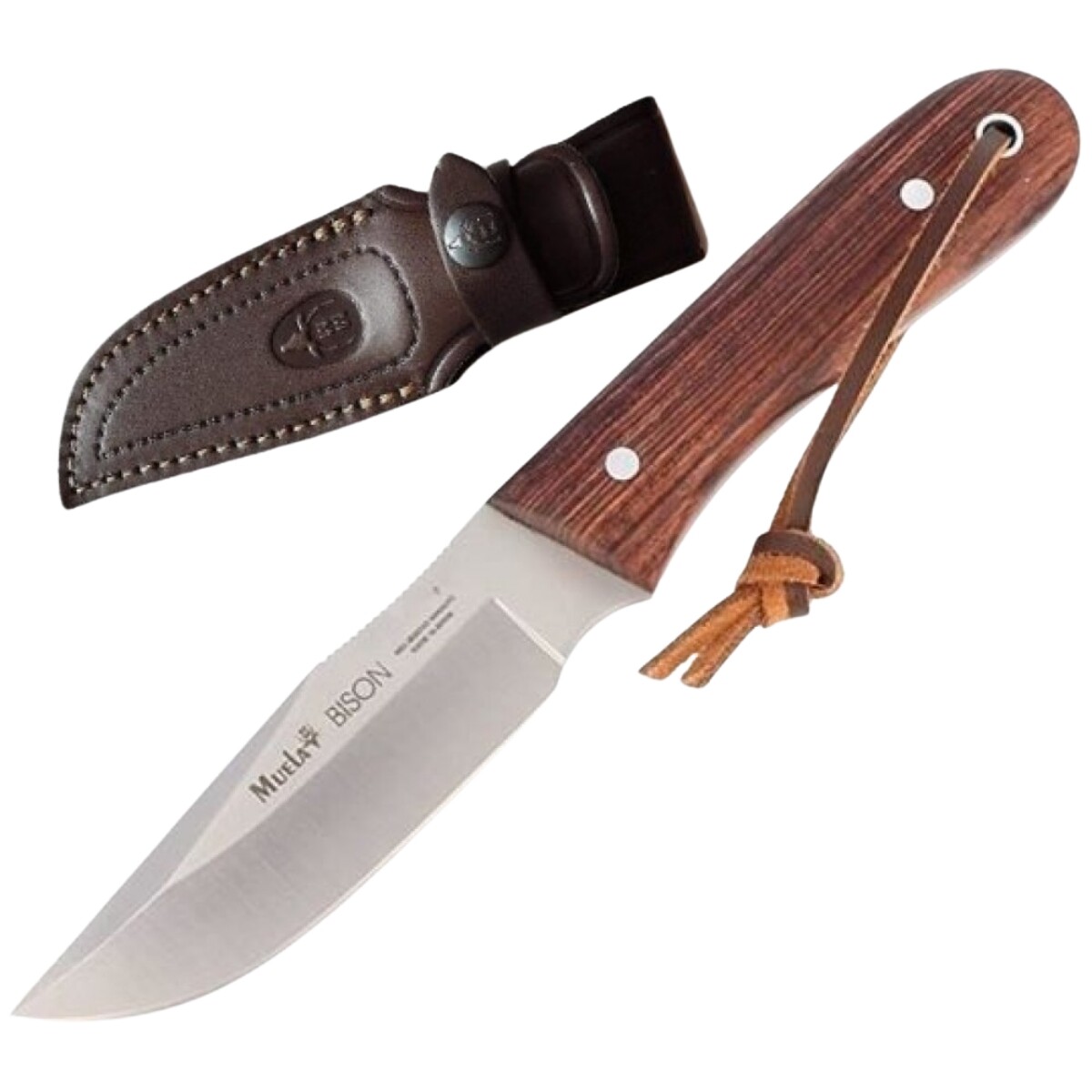 Cuchillo deportivo Bison-9NL - Muela 