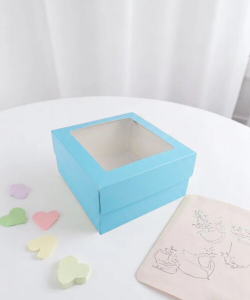 Caja 20x20x9,5 c/visor. CELESTE