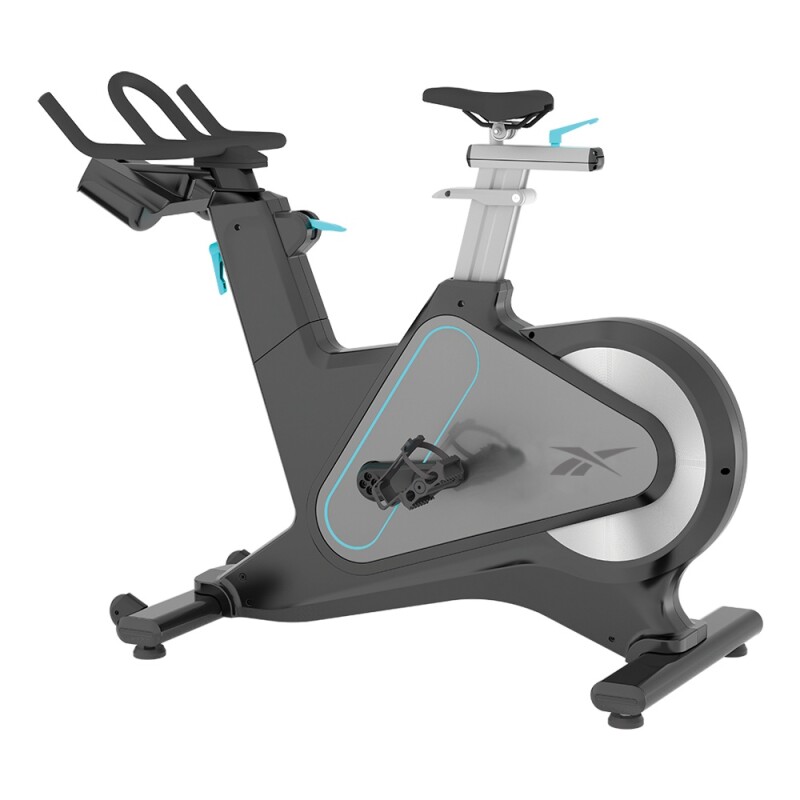 Bicicleta De Spinning Reebok 980Bs Gris