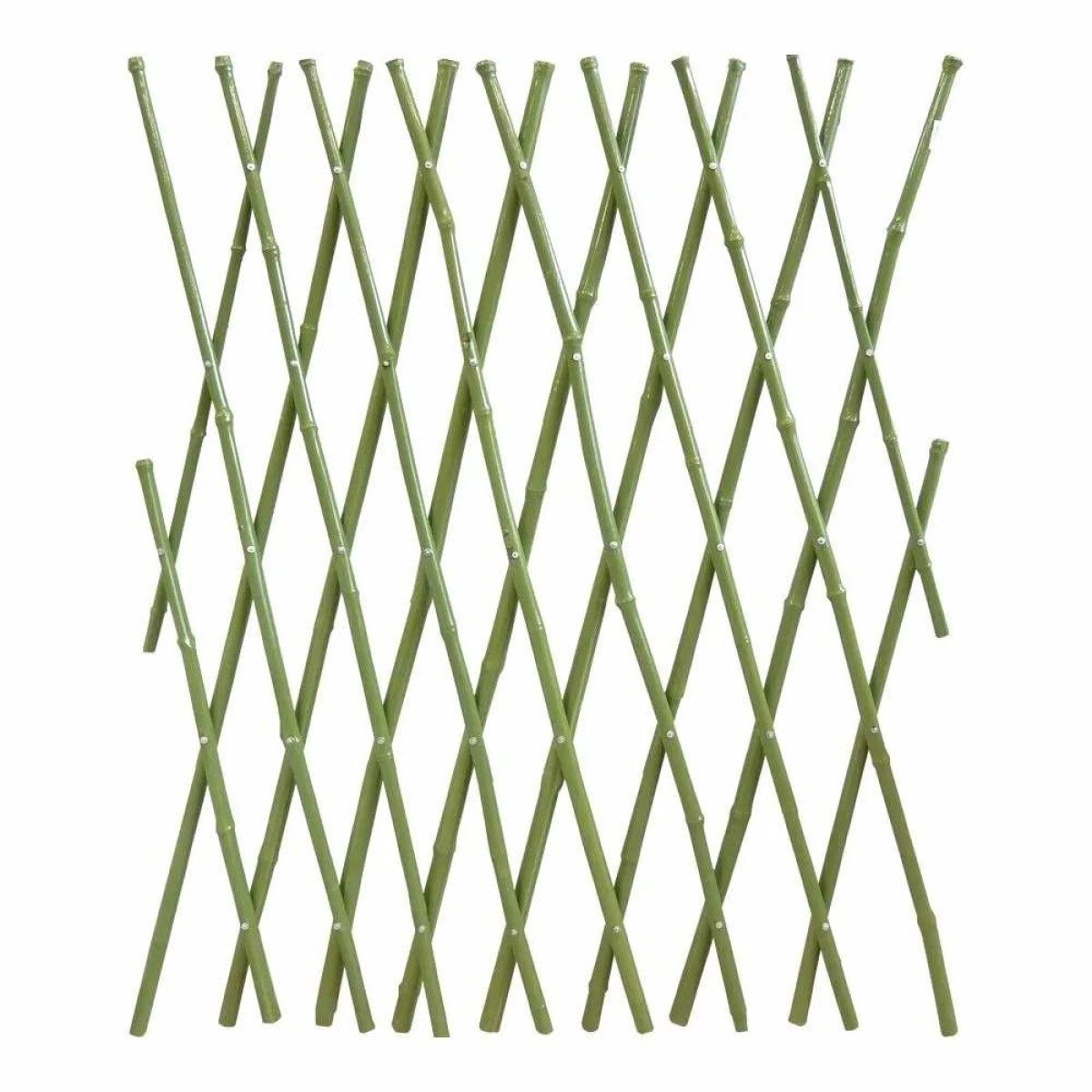 Cerca De Bambu Extensible 1 M Forrada 