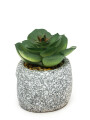 Planta Suculenta Artificial, Mini Color Unico