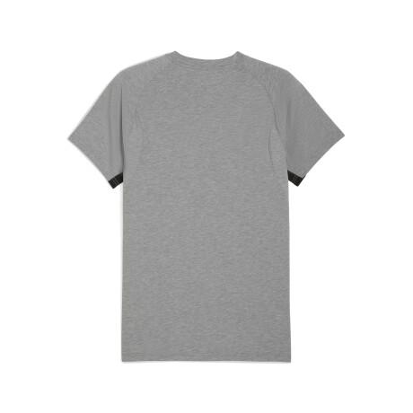 CAP Tee 78214709 Gris