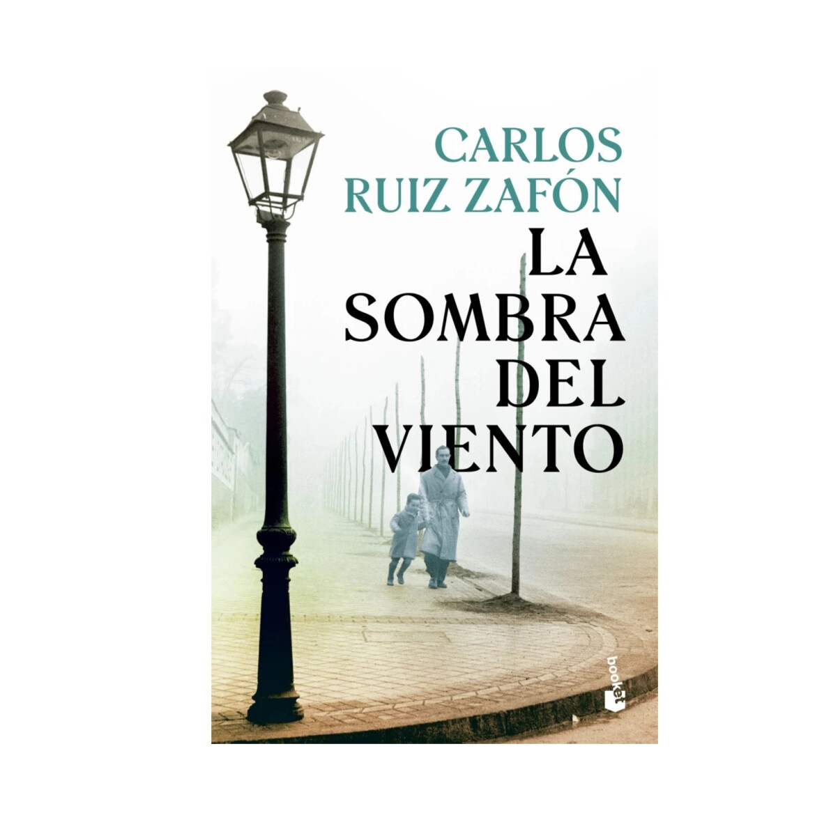 La Sombra Del Viento TD 