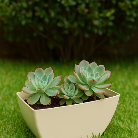 MACETA JARDINERA RECTANGULAR FLORATTA NR 30 5,3LTS GRIS