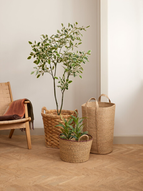 Cesta HERMAN Ø37xA25cm hierba marina Cesta HERMAN Ø37xA25cm hierba marina