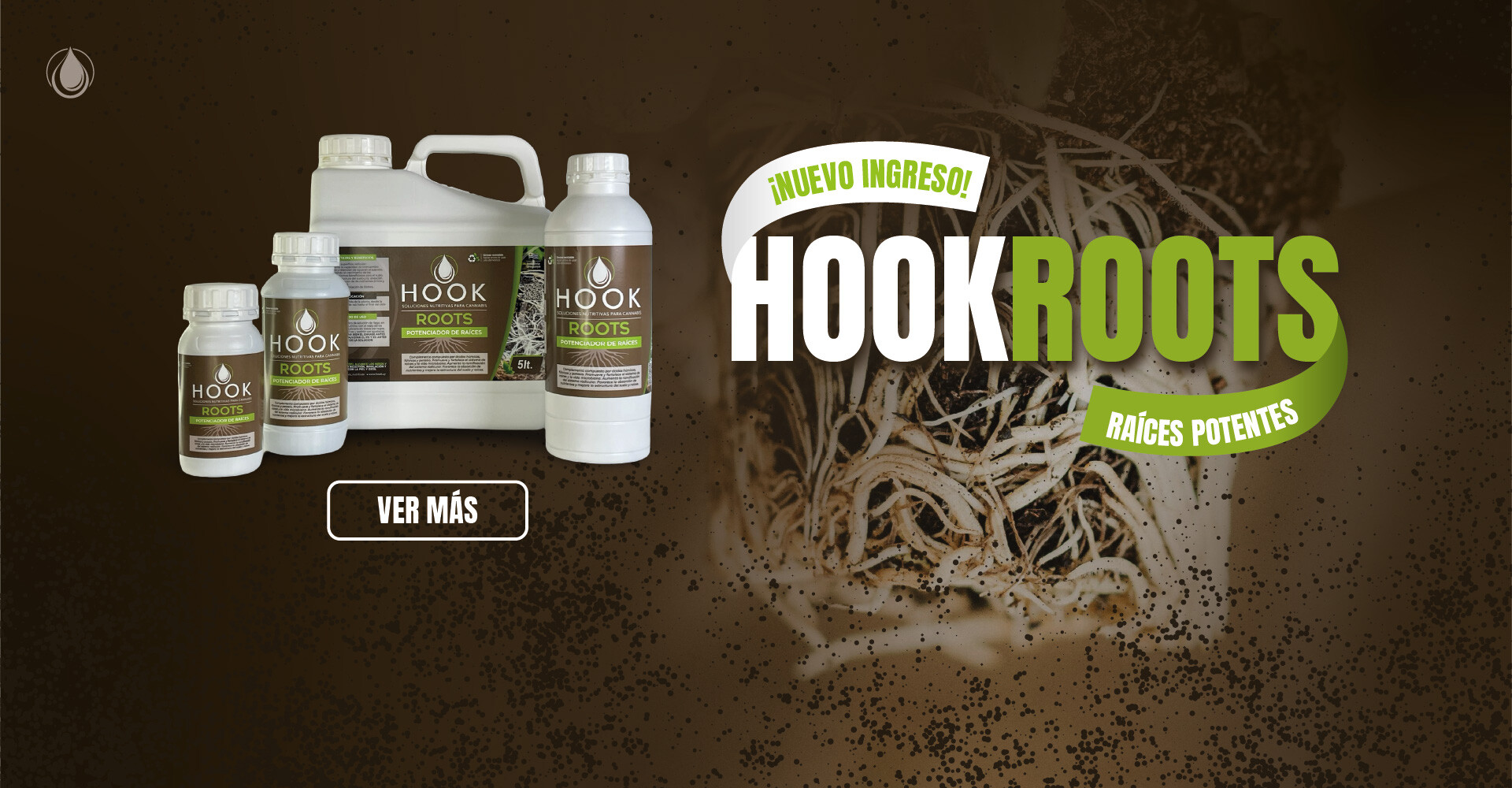 HOOK ROOTS