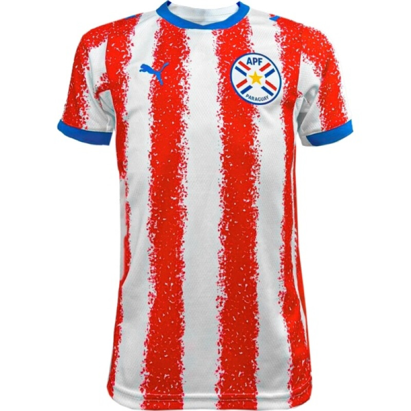 Camiseta Puma Paraguay APF Kids 69703801 Camiseta Puma Paraguay APF Kids 69703801