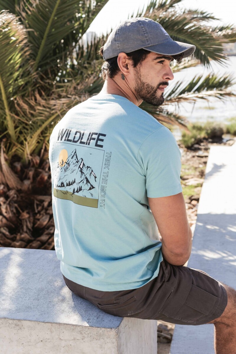 Remera Ciro Verde aqua