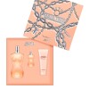 Jean Paul Gaultier Classique Estuche Eau De Toilette 100ml + 10ml + Loción Corporal 75ml - Femenino Jean Paul Gaultier Classique Estuche Eau De Toilette 100ml + 10ml + Loción Corporal 75ml - Femenino