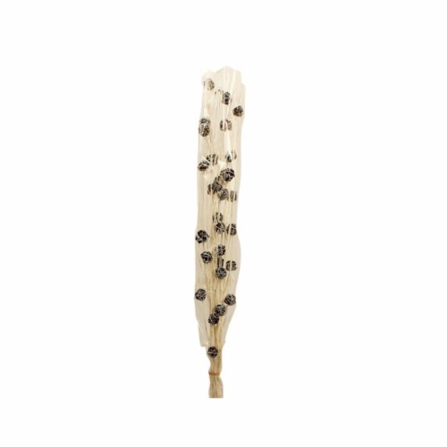 Ramas Decorativas 100 cm Ramas Decorativas 100 cm