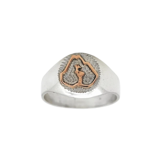 Anillo Profesión Ingeniero agrónomo-Plata y Oro-Sin Piedra-AP5009 sinpiedra