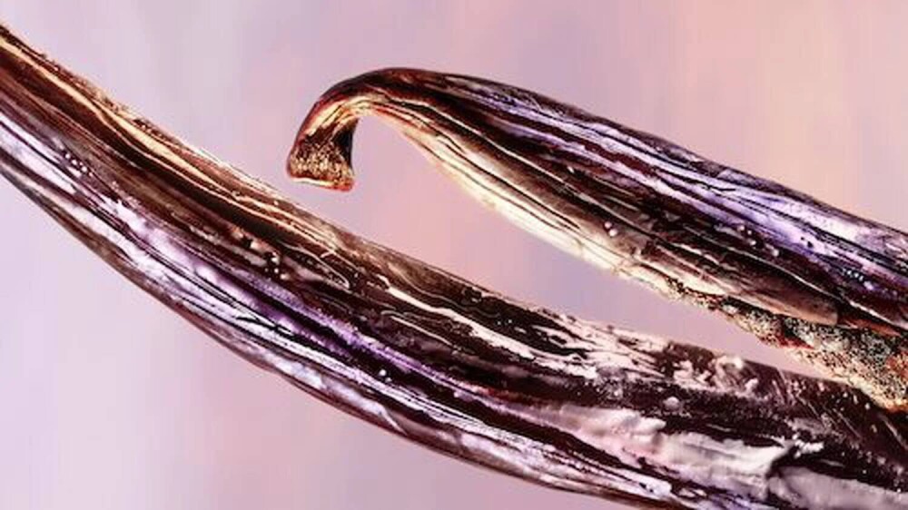 Notas de corazón: vainilla Bourbon glaseada