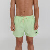 Short Pulau Btfly Verde