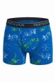 Pack x3 Boxer brief c/estampa para niño MULTICOLOR