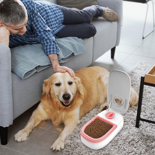 Dispensador De Alimento Timer Para Mascotas Gatos Perros Color Variante Rosa
