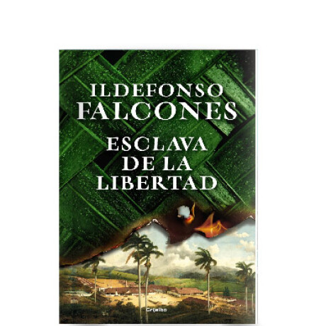 Libro Esclava de la Libertad Ildefonso Falcones 001